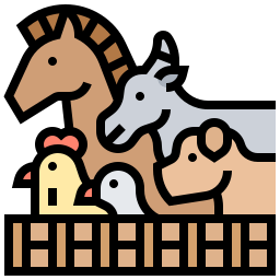 Peternakan